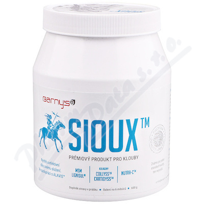 Barny`s Sioux MSM 600 g
