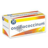 Oscillococcinum por.gra.30x1gm