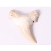 Magieprirody.cz Fosilie žraločí zub velký 6 cm #216