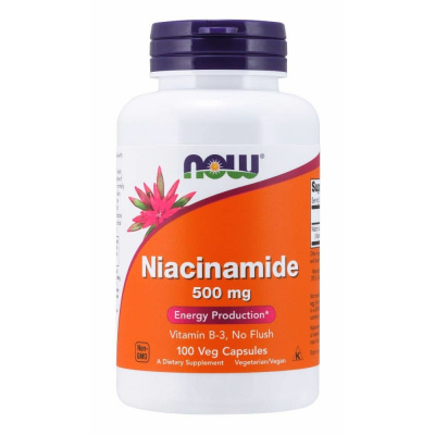 Now Foods Vitamin B3 Nikotinamid – niacinamid 500 mg 100 kapslí