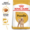 Royal Canin Poodle Adult granule pro dospělého pudla - 7,5 kg