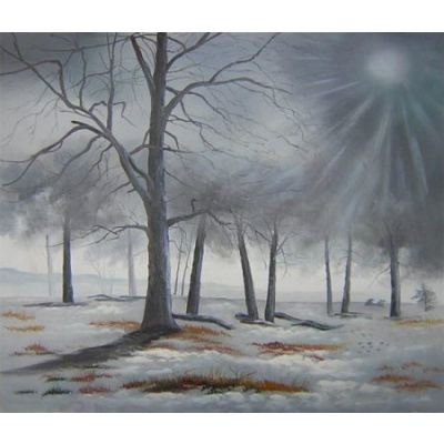 Obraz - Zimní les 40 cm x 50 cm