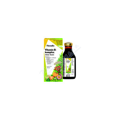 SALUS HAUS Salus Floradix Vitamin-B-komplex 250ml