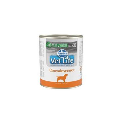 Vet Life Natural Dog konz. Convalescence 300g