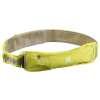 Salomon Agile 250 Set Belt sulphur spring