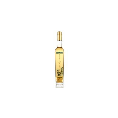 Godet Pearadise Cognac 38% 0,5 l (holá lahev)