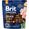 Brit Premium by Nature Junior M 1 kg