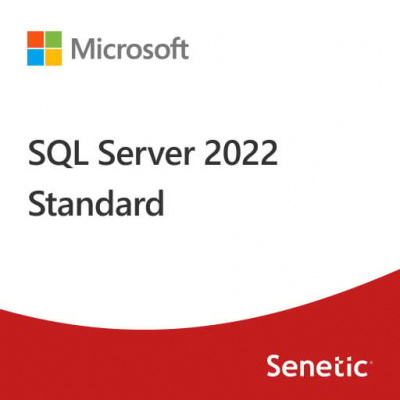 Microsoft SQL Server 2022 Standard Edition (DG7GMGF0M80J-0002)