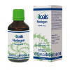 Joalis Nodegen PSYCH 50 ml (násilí, šikana, psychický teror)