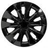 Compass Storm Black 15"