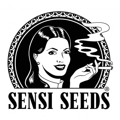 Sensi Seeds Big Bud Auto Feminizovaná 5ks