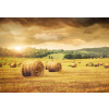 WEBLUX Fototapeta plátno Field of freshly bales of hay with beautiful sunset - 31838189 Pole čerstvých balíků sena s krásným západem slunce, 174 x 120 cm