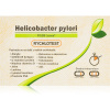 Vitamin Station Rychlotest Helicobacter Pylori test přítomnosti žaludečních bakterií 1 ks