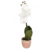 RS Umělá Orchidej v květináči bílá