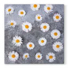 Ubrousky PAW L 33x33cm Daisies Love