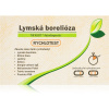 Vitamin Station Rychlotest Lymská borelióza testovací tyčinky 1 ks