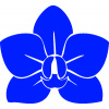 SAMOLEPKA Květina dekor 023 orchidej květ (19 - modrá dynamic) NA AUTO, NÁLEPKA, FÓLIE, POLEP, TUNING, VÝROBA, TISK, ALZA