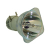 Lampa pro projektor BENQ 5J.J6D05.001 Lampa Philips