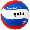 Volejbalový míč Gala Pro Line BV 5591 S (859000110130)