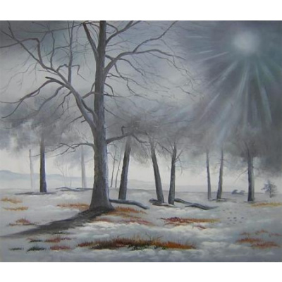 Ručně malovaný obraz Zimní les - 50 x 60 cm
