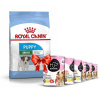 Royal Canin Mini Puppy 8kg + Koema Junior mokré krmivo 93 % masa - 6x400g