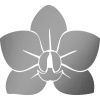 SAMOLEPKA Květina dekor 023 orchidej květ (42 - stříbrná metalíza) NA AUTO, NÁLEPKA, FÓLIE, POLEP, TUNING, VÝROBA, TISK, ALZA