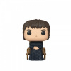 Hra o trůny / Game of Thrones: Figurka Funko POP! Game of Thrones / Hra o trůny - King Bran The Broken