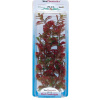 Tetra rostlina Red Ludwigia M 23 cm