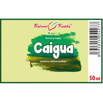 Caigua (ačokča) tinktura 50 ml - Bylinné Kapky (Bylinná tinktura)