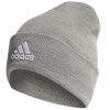 Čepice adidas Logo Woolie HL4811 OSFM