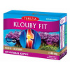 TEREZIA COMPANY TEREZIA Klouby fit cps.60