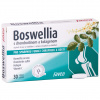 Favea Boswellia s chondroitinem a kolagenem 30 tablet