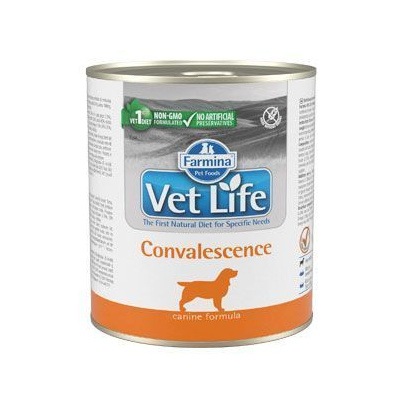 Vet Life Natural Dog konz. Convalescence 300g