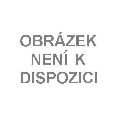 Aknepur zásyp 20g