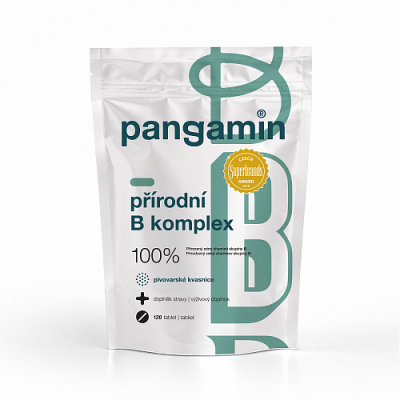 Pangamin® přírodní B-komplex 120 tablet (OPTIMÁLNÍ ZDROJ VITAMÍNŮ B OD B1 PO B12, VČETNĚ B15)