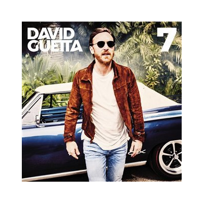 7 - David Guetta 2x LP
