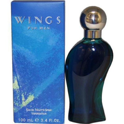 Giorgio Beverly Hills Wings for Men pánská toaletní voda 100 ml