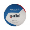 Volejbalový profesionální míč GALA Pro line 12 - BV5595 S