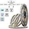 MCLED ML-121.230.60.2 LED PÁSEK SMD3528 STUDENĚ BÍLÝ, 120LED/M, IP20, DC 12V, 8MM, 50M ML-121.230.60.2