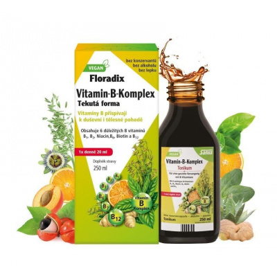 Salus Floradix Vitamin-B-komplex 250 ml