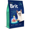 Brit Premium Cat - Sensitive, Light, Senior, Indoor - Novinka Název: 8kg, Druh: Sensitive