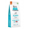 Brit Care Dog Hypoallergenic Puppy Lamb & Rice Varianta:: 1 kg