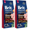 BRIT Premium By Nature Senior L+XL 2x15kg