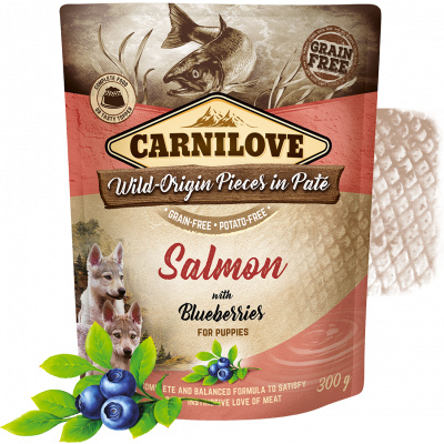 CARNILOVE Dog Pouch Paté Salmon with Blueberries for puppies 300g