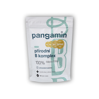 Pangamin Pangamin přírodní B komplex sáček 120 tablet