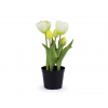 Prima-obchod Umělé tulipány v květináči, barva 6 (25 cm) bílá