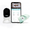 Chytrá ponožka Owlet Monitor Duo - Chytrá ponožka Owlet Smart Sock 3 (Světle zelená) & kamera Owlet Cam 2 (Bílá) (850038861070)