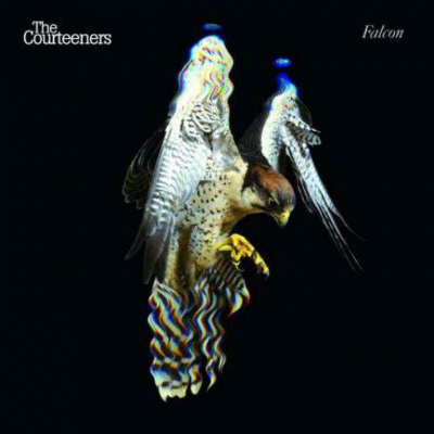 The Courteeners - Falcon, 1CD, 2010