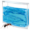 Mravenčí akvárium Ant Quarium Domácí mraveniště Blue