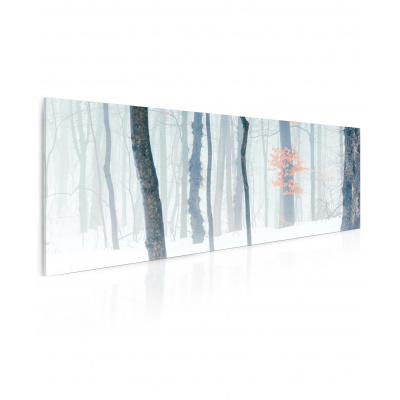 Malvis Obraz zimní les v mlze Velikost (šířka x výška): 150x70 cm
